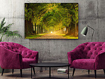 Obraz Stromová alej 